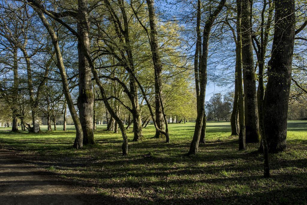 Chateau Des Briottieres Champigne Luaran gambar