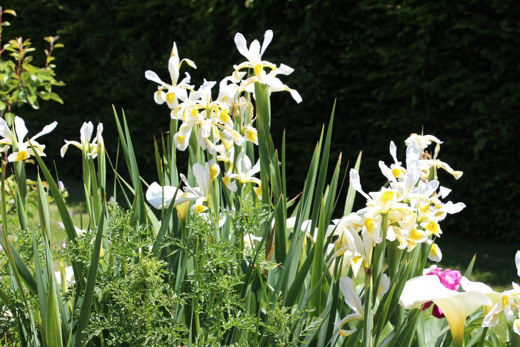 Chateau Des Briottieres Champigne Luaran gambar